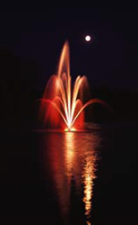  Fleur de Lis Nozzle Floating Fountain 
